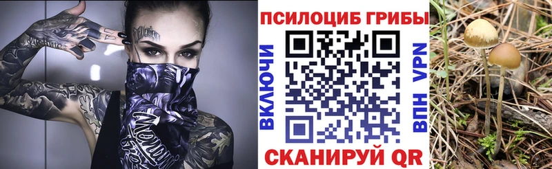 Галлюциногенные грибы Magic Shrooms  мега рабочий сайт  Партизанск 